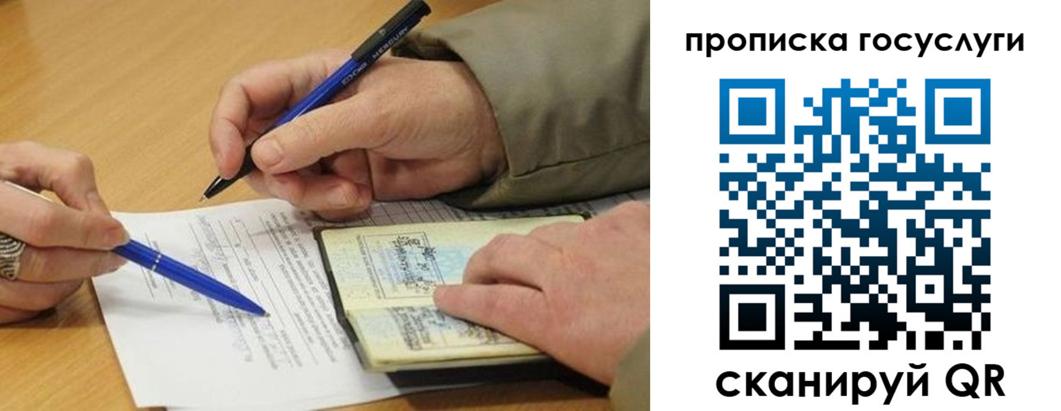 прописка законно в Геленджике